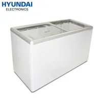 https://cdn.acghar.com/public/200-200/files/3B52638B36E3F78-Hyundai-Flat-Glass-Freezer.jpg