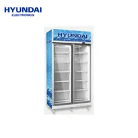 https://cdn.acghar.com/public/200-200/files/3BA2603279613F3-Hyundai-1006-liter-upright-showcase.jpg