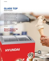 https://cdn.acghar.com/public/200-200/files/576DBCC7CC46B59-hyundi-glass-top-chest-freezer.jpg