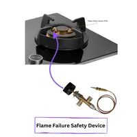 https://cdn.acghar.com/public/200-200/files/885EF39272CC2EE-Flame%20Failure%20Safety%20Device.png