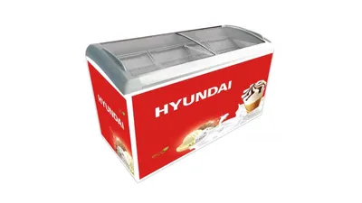 Hyundai Brand Chest/Deep Freezer Price in Nepal