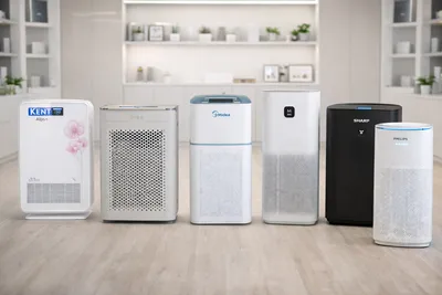 Why Every Home Needs an Air Purifier?