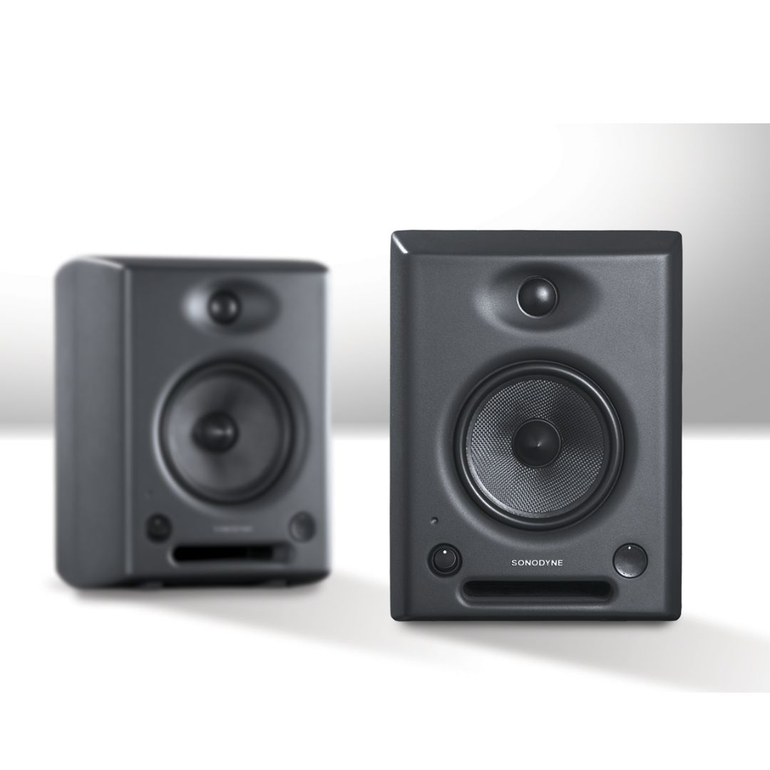 Sonodyne SRP 501 Studio Monitor 