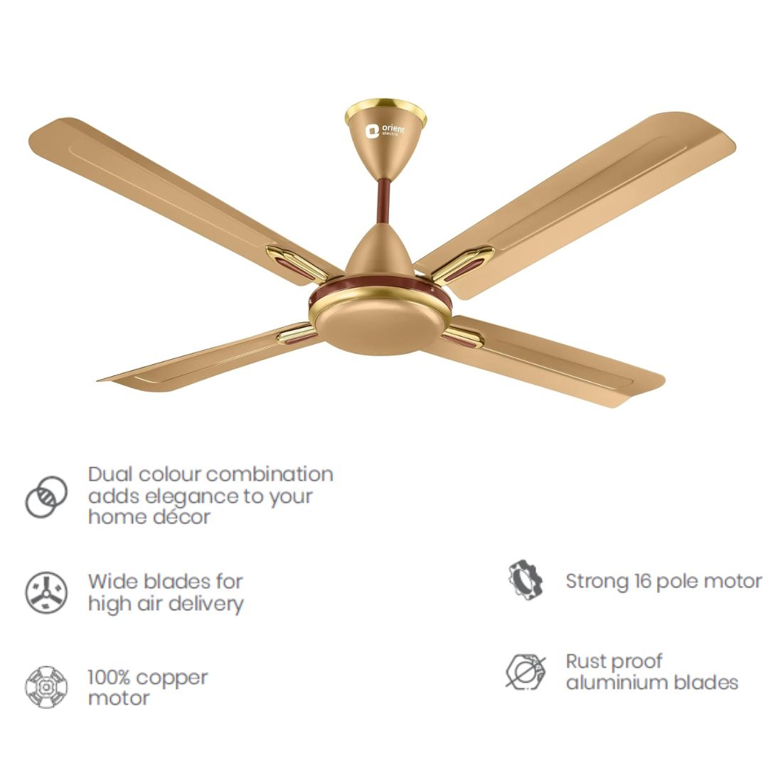 Orient QUADRO ORNAMENTAL 4 Blades 48 Inch Ceiling Fan