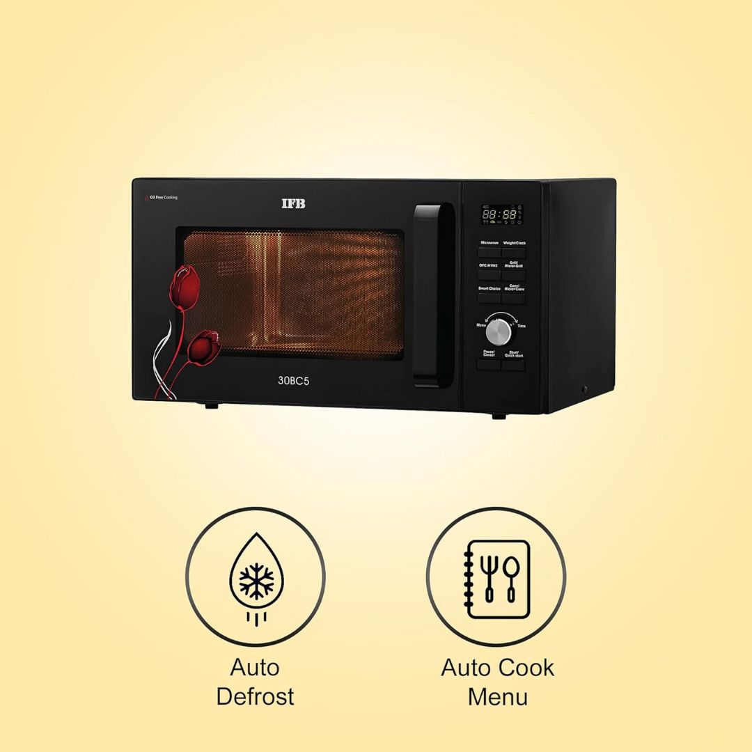 IFB 1.0 Ton Inverter Air Conditioner - HI123NE123GMI